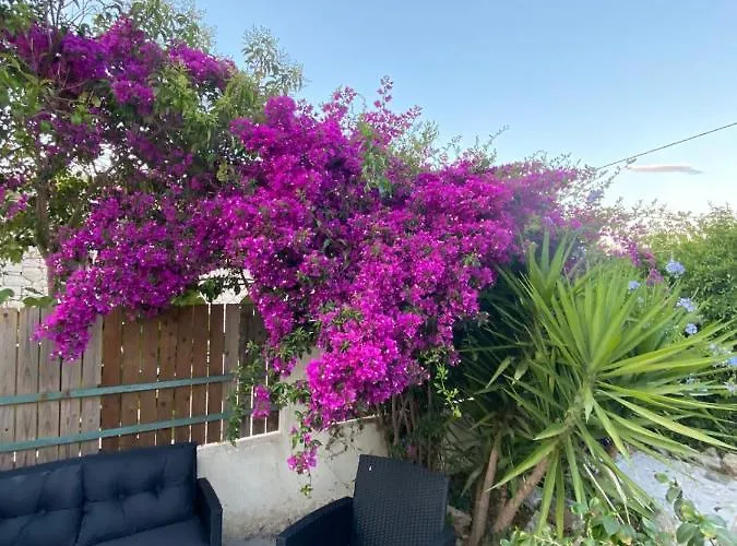 My Lefkada Boutique By Olga Lounge - Panoramic View - Visit The Real Paradise !!! Vilă Ligia